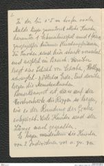 Seite 4, Tagebuch "Ossarn 1931" (NHMW-PRAE-BBB-20)